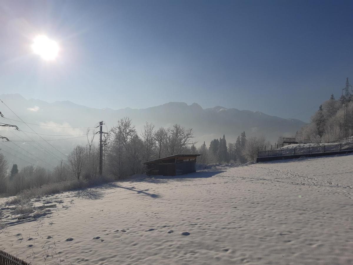 Willa Balamutka Zakopane Exteriér fotografie